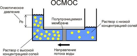 n-osmos